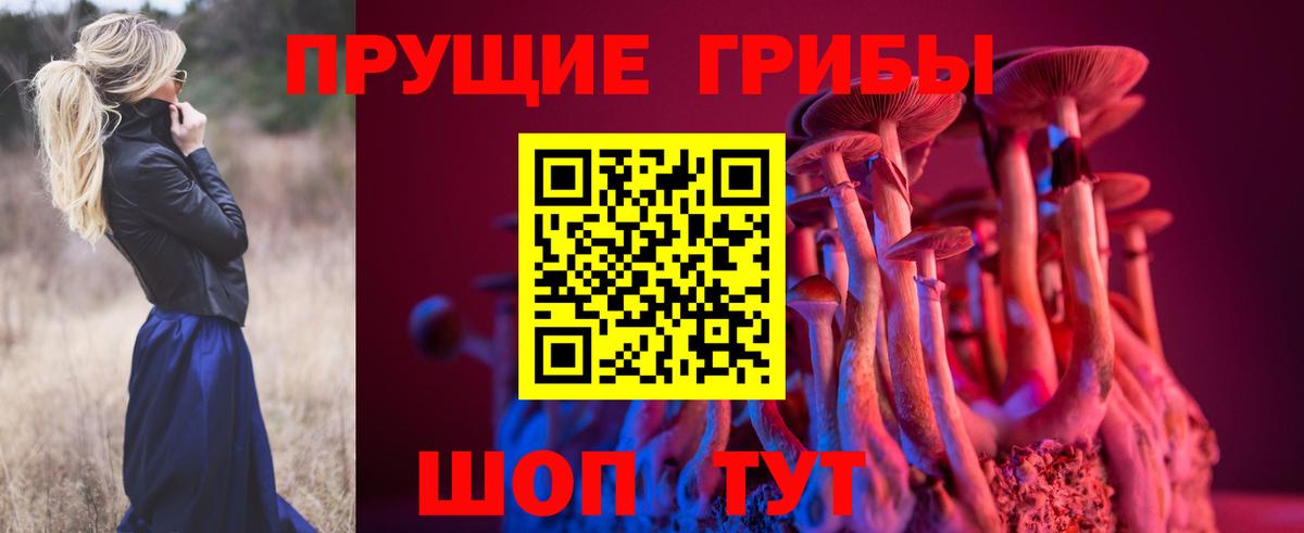 Псилоцибиновые грибы MAGIC MUSHROOMS  Галлюциногенные грибы прущие грибы  Малгобек  Вход с VPN 